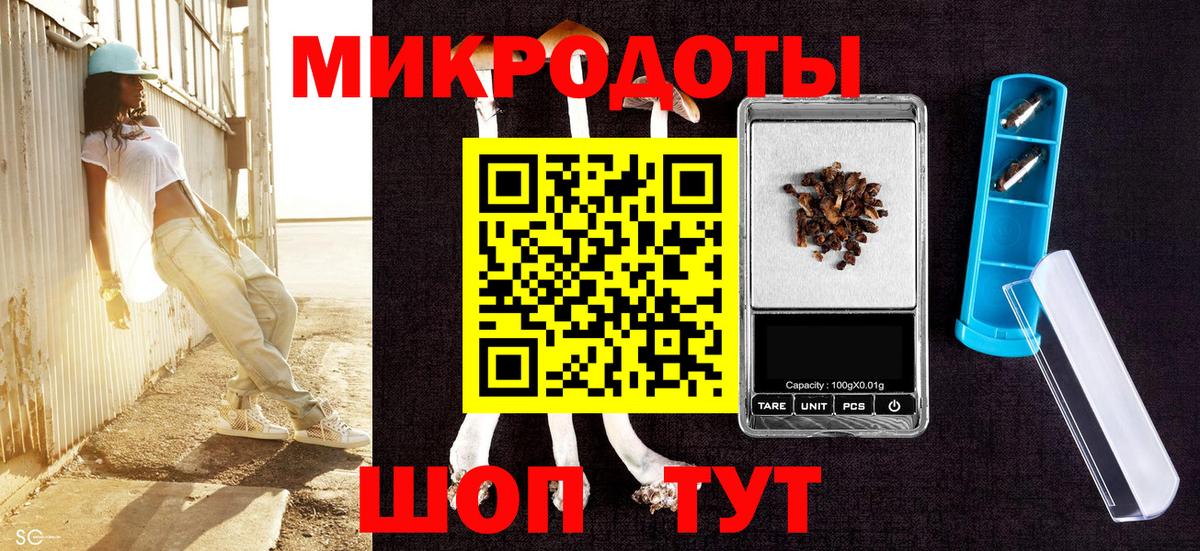 Псилоцибиновые грибы Psilocybe Волоколамск
